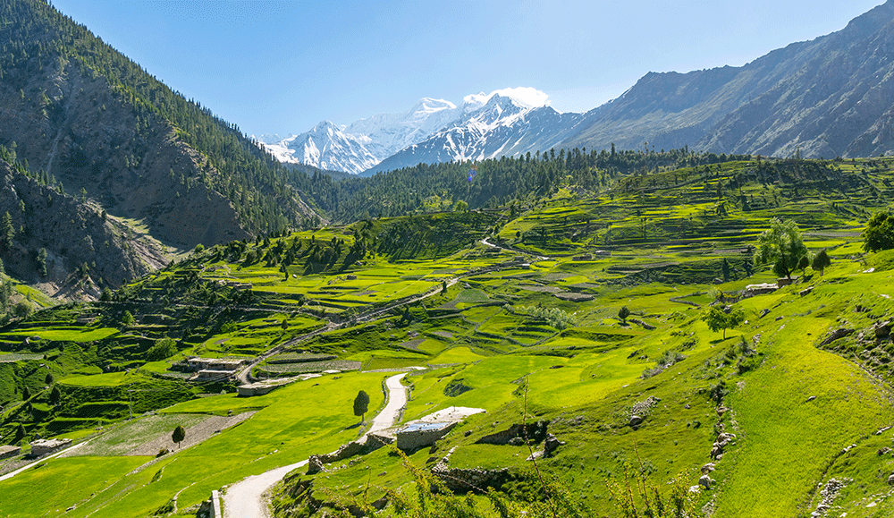 Suggested Day Plan: Gilgit to Astore & Rama Valley and Back