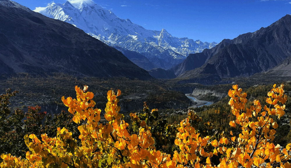 Day Excursion To Astore (from Gilgit)