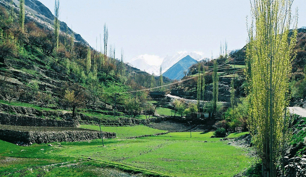Day Excursion To Hoper Valley (from Hunza)