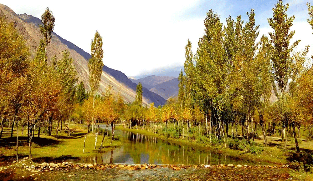 Day Excursion To Yasin Valley (from Gilgit)
