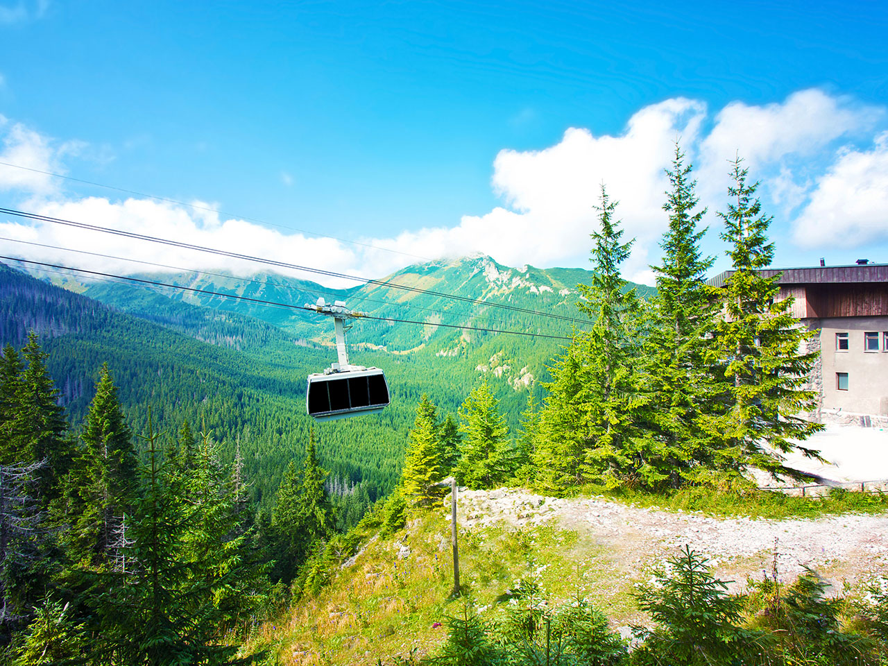 Swat and Muree Getaway