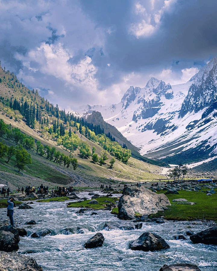 Kashmir