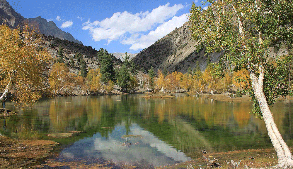 Day Excursion To Naltar Valley (from Gilgit)