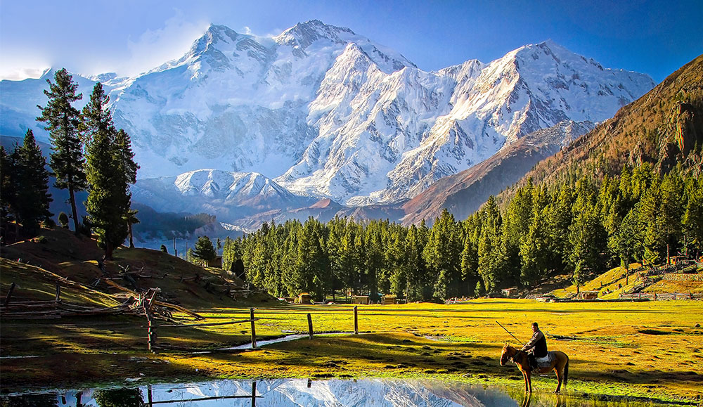 Fairy Meadows & Hunza Valley
