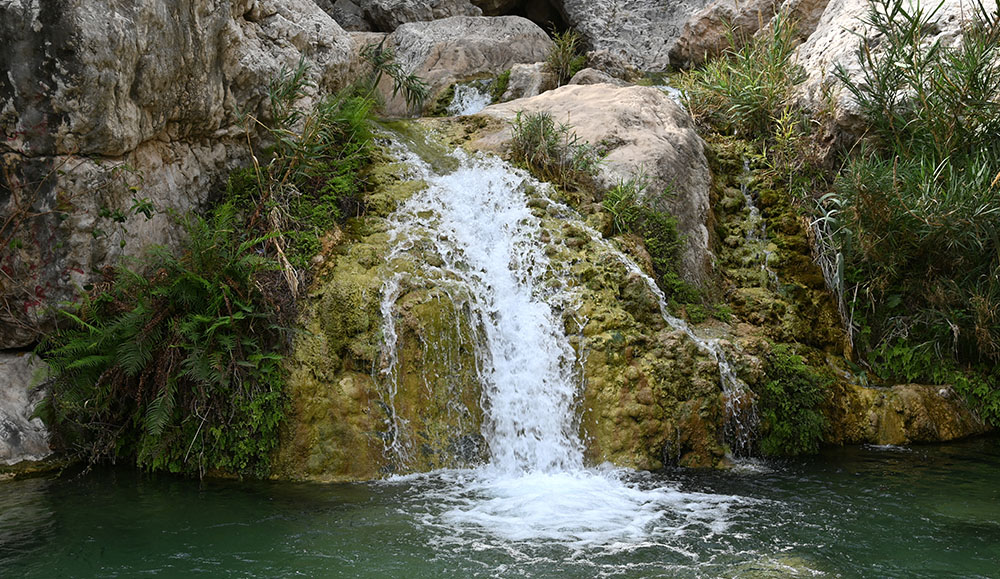 Day Excursion To Kallar Kahar (from Lahore)