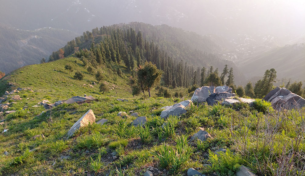 Ayubia National Park & Pipeline Track