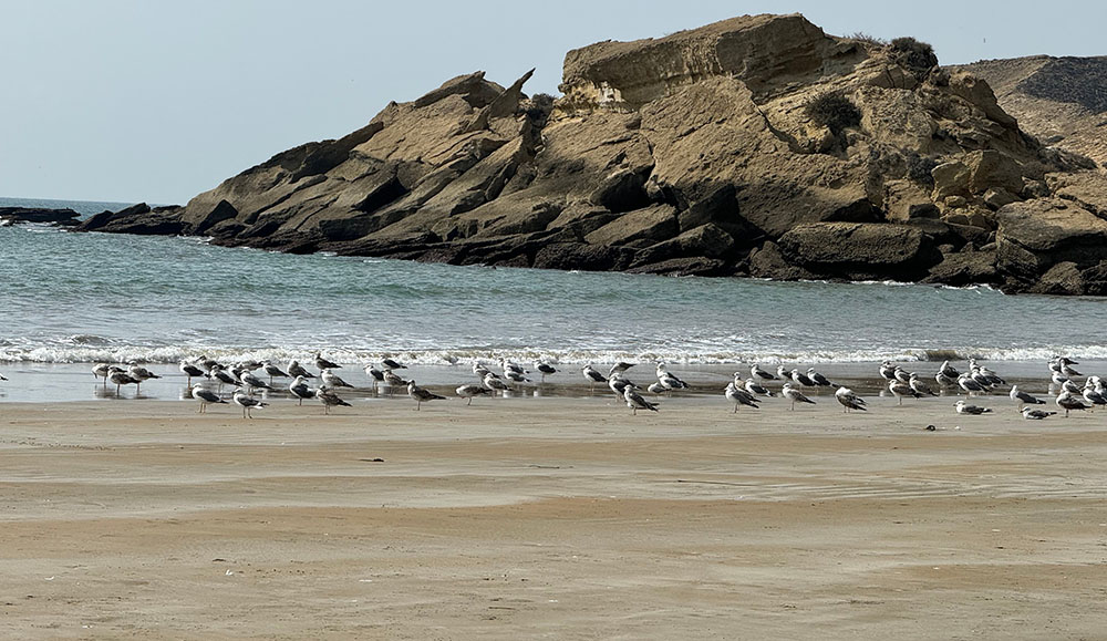 Day Excursion To Kund Malir Beach (from Karachi)