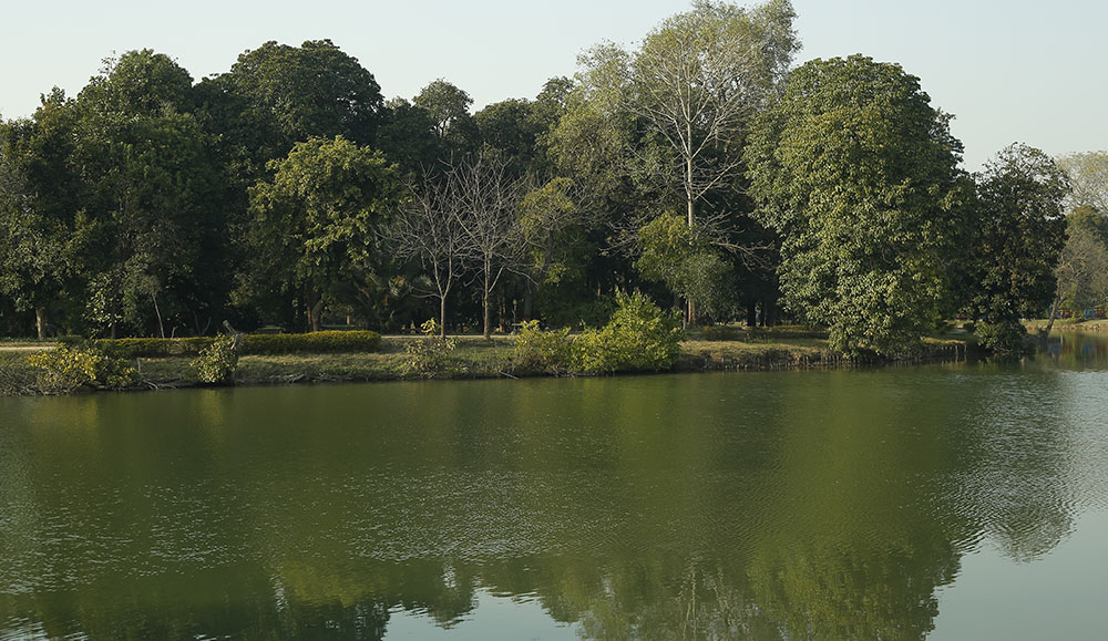 Day Excursion To Changa Manga (from Lahore)