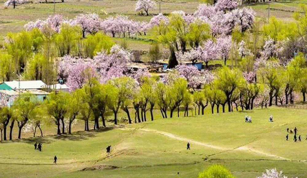Day Excursion To Chunda Valley (from Skardu)